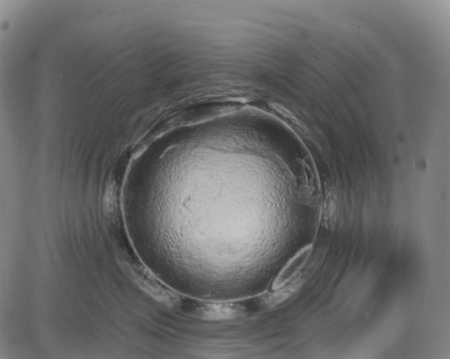 X0000085060623200703121526