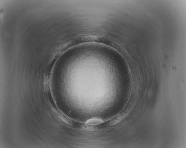 X0000085060624200703121526