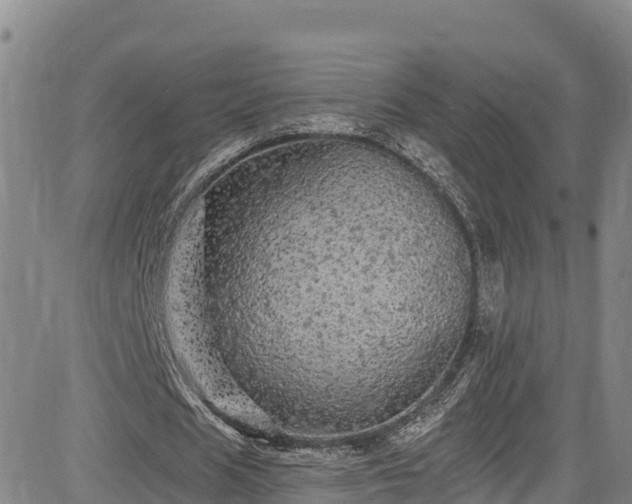 X0000085060625200703121526