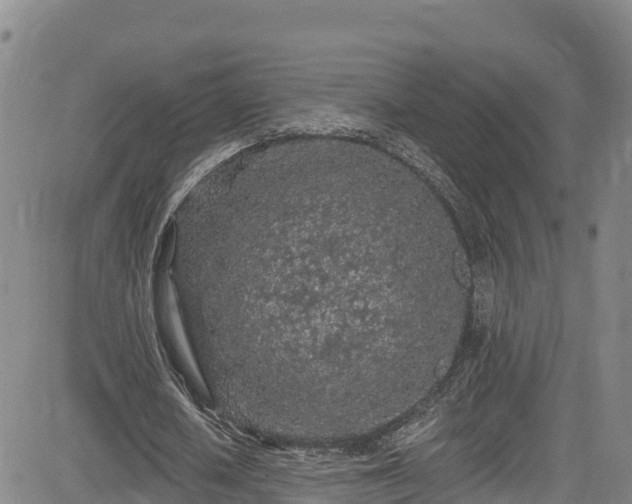 X0000085060626200703121526