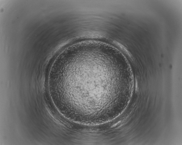 X0000085060627200703121526