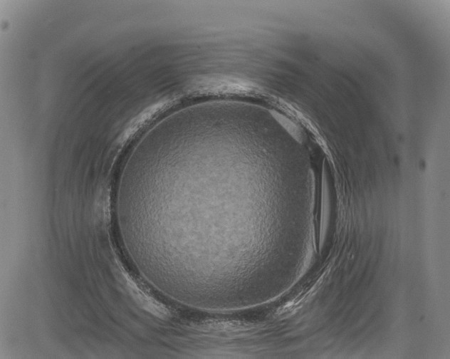 X0000085060629200703121526