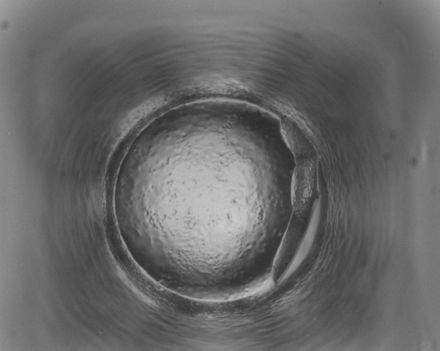 X0000085060630200703121526