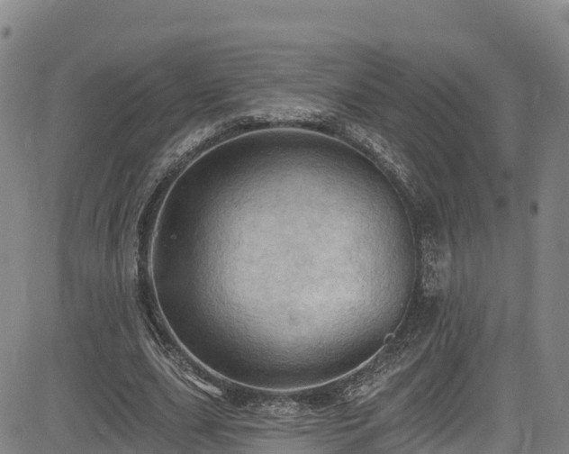 X0000085060631200703121526