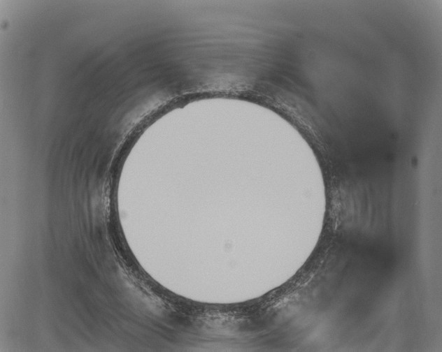 X0000085060632200703121526