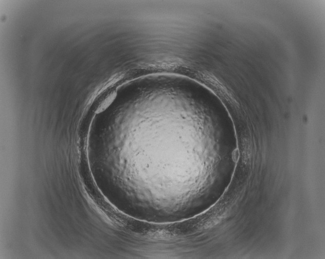 X0000085060634200703121526