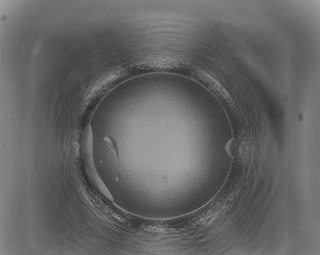 X0000085060635200703121526