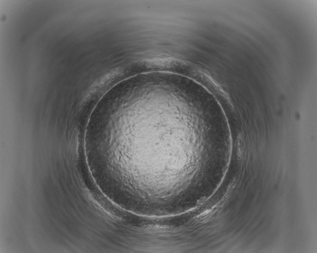 X0000085060637200703121526