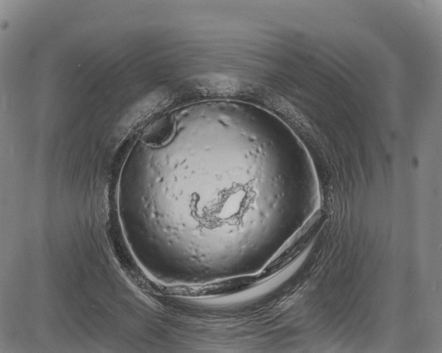 X0000085060638200703121526