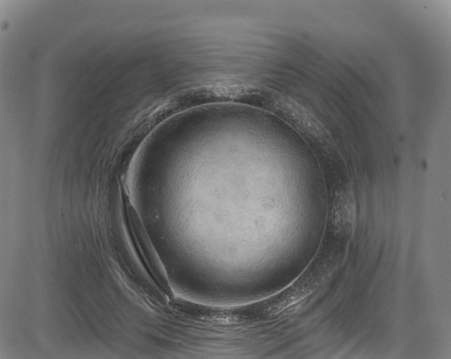 X0000085060639200703121526