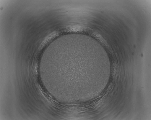 X0000085060640200703121526