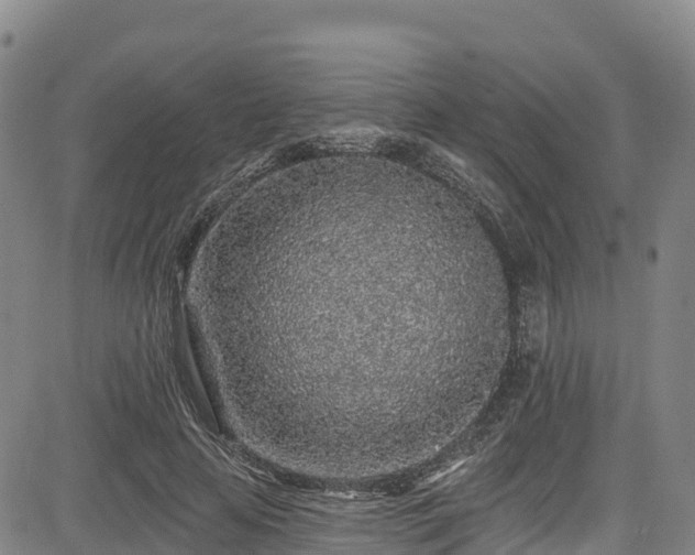 X0000085060641200703121526