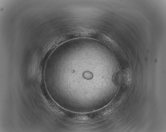 X0000085060642200703121526