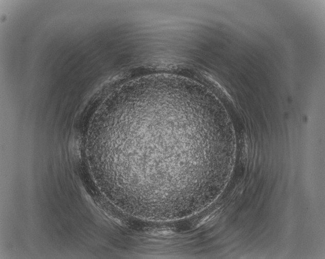 X0000085060643200703121526