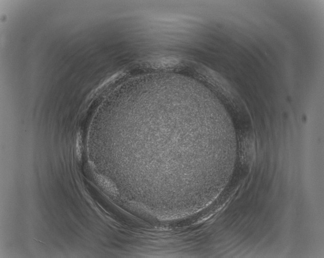 X0000085060644200703121526