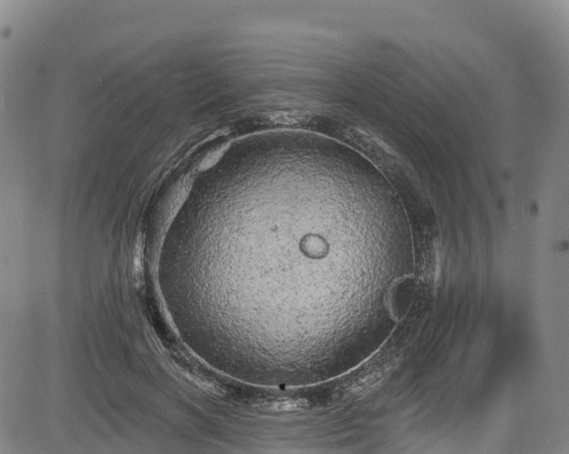 X0000085060646200703121526