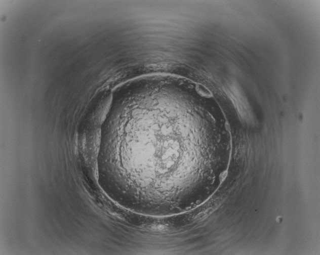 X0000085060647200703121526