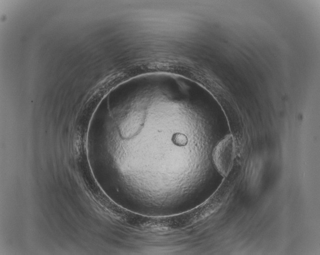 X0000085060648200703121526