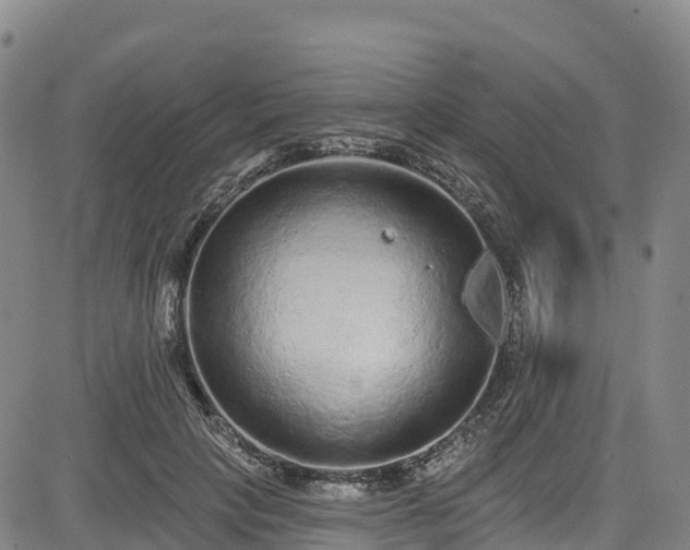 X0000085060649200703121526