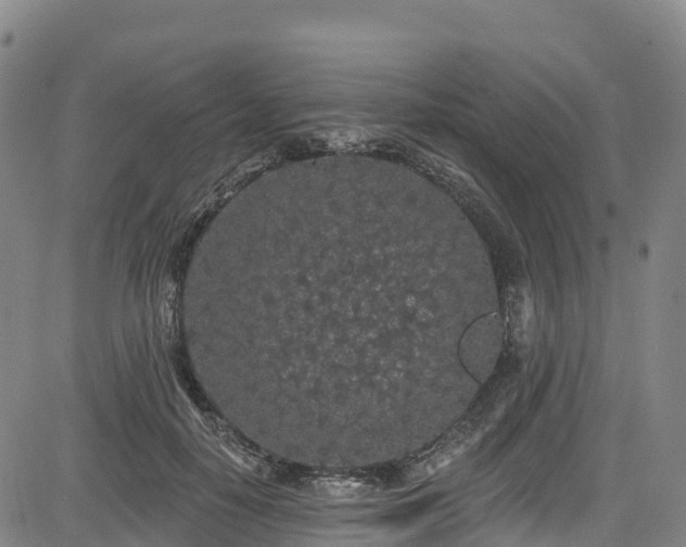 X0000085060650200703121526