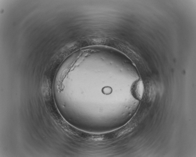 X0000085060651200703121526