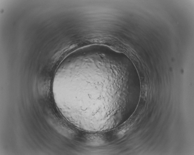 X0000085060652200703121526