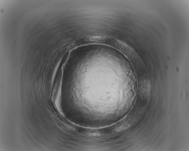 X0000085060653200703121526