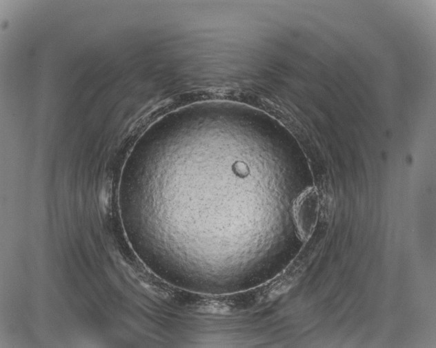 X0000085060656200703121526