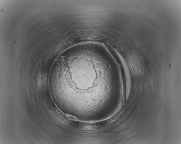 X0000085060657200703121526