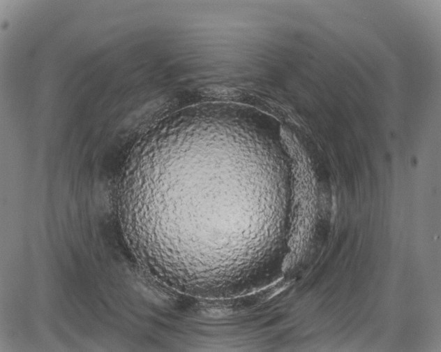 X0000085060658200703121526