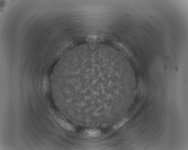 X0000085060659200703121526