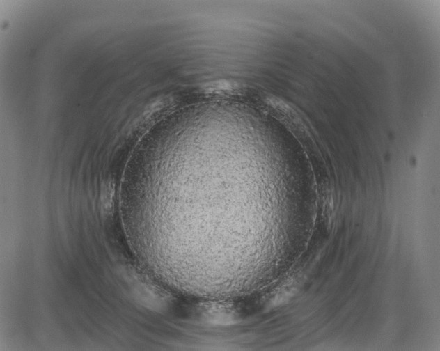 X0000085060660200703121526