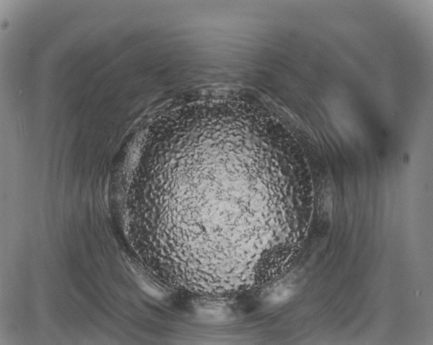 X0000085060661200703121526