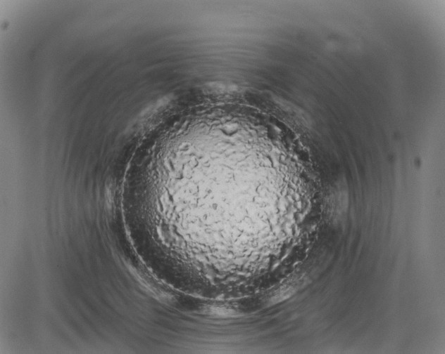 X0000085060662200703121526