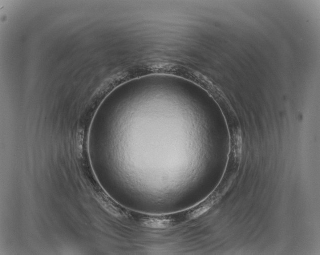 X0000085060664200703121526