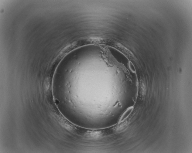 X0000085060665200703121526