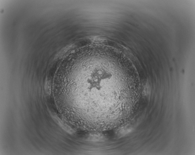 X0000085060666200703121526