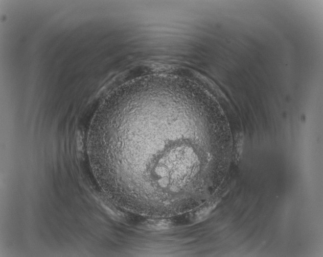 X0000085060667200703121526