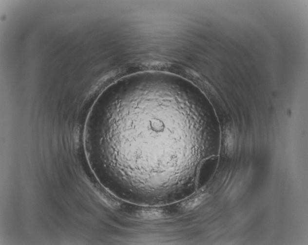 X0000085060668200703121526