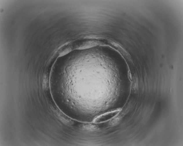 X0000085060669200703121526