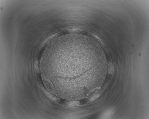 X0000085060670200703121526