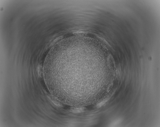 X0000085060671200703121526