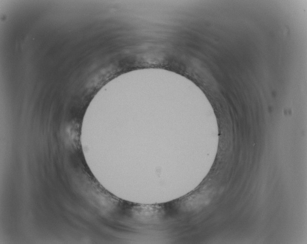 X0000085060672200703121526