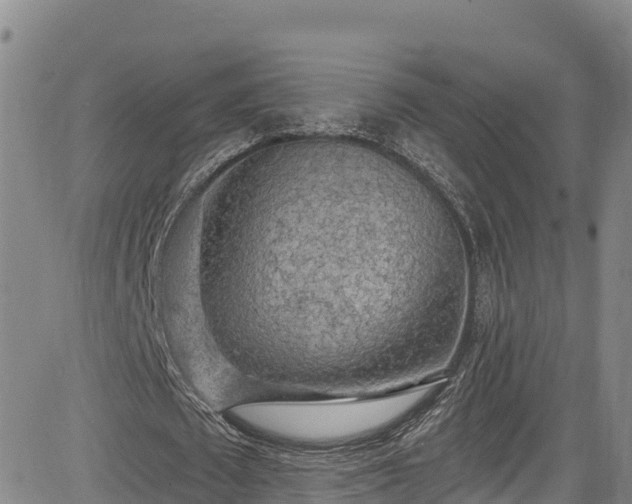 X0000085060673200703121526