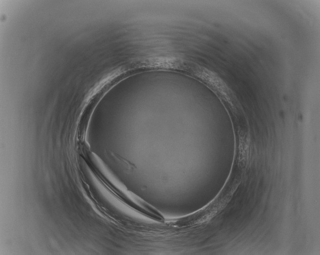 X0000085060674200703121526