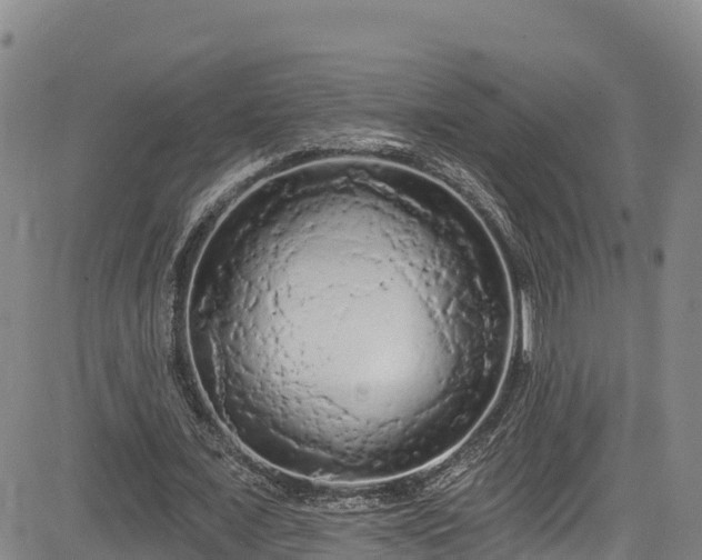 X0000085060675200703121525