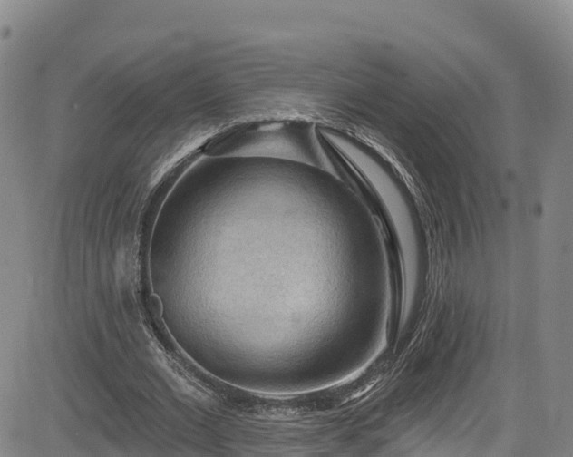 X0000085060677200703121525