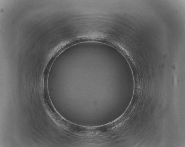 X0000085060678200703121525