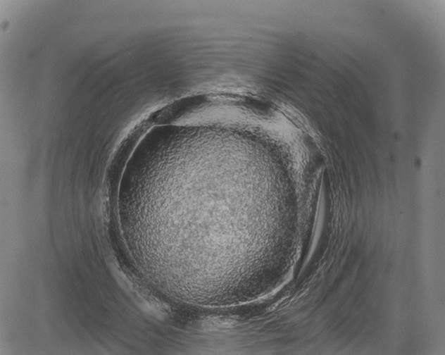 X0000085060680200703121525