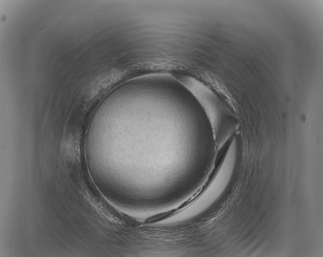 X0000085060681200703121525